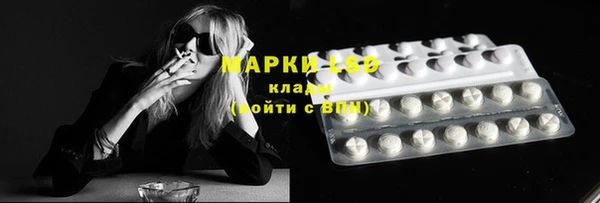 эйфоретик Баксан